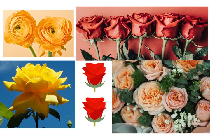 roses